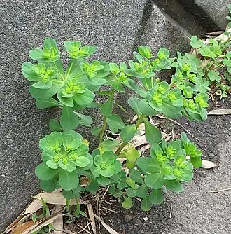 alternativní popis obrázku chybí