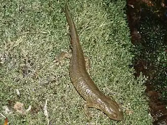 alternativní popis obrázku chybí