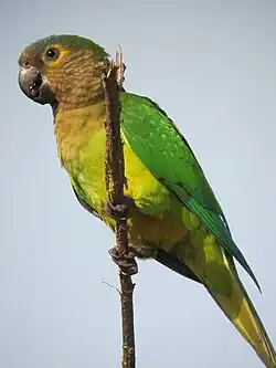 alternativní popis obrázku chybí