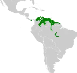 Areál rozšíření