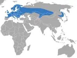 rozšíření rejsce vodního