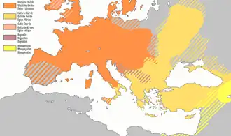 Rozdělení křesťanů v roce 1054: západní (latinská) církev oranžově, východní církev žlutě, monofyzité světle žlutě, bogomilové fialově, keltská církev růžově