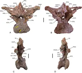 alternativní popis obrázku chybí