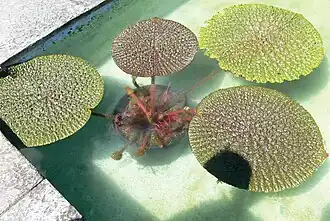 alternativní popis obrázku chybí