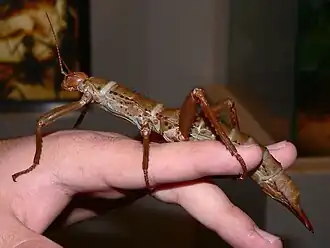 popis obrázku chybí