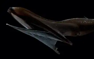 alternativní popis obrázku chybí