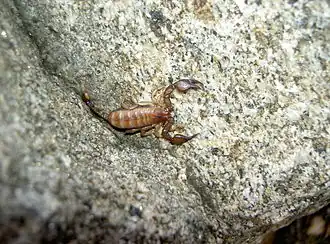 alternativní popis obrázku chybí