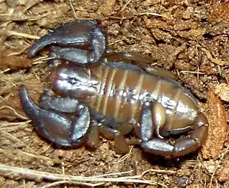 alternativní popis obrázku chybí