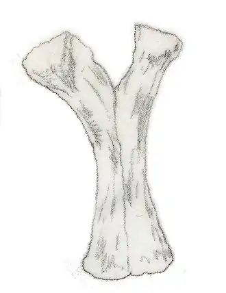 popis obrázku chybí