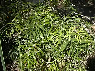 alternativní popis obrázku chybí