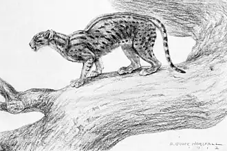 alternativní popis obrázku chybí