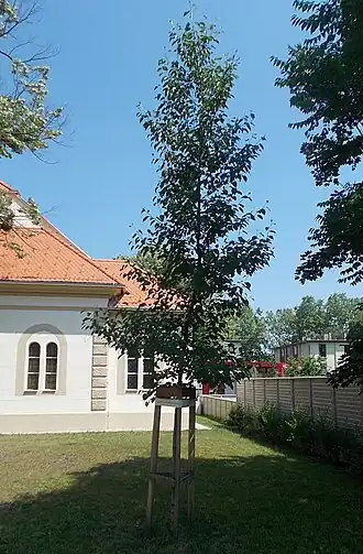 alternativní popis obrázku chybí