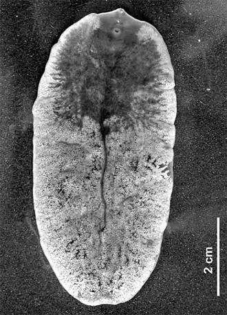 alternativní popis obrázku chybí