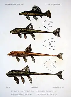 alternativní popis obrázku chybí