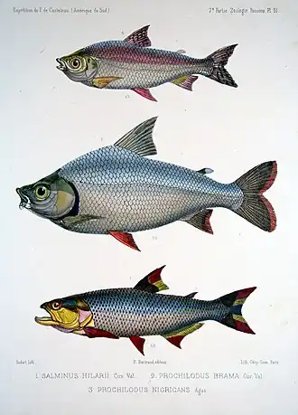 alternativní popis obrázku chybí