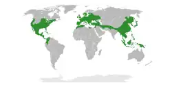 Areál rozšíření