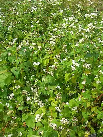 alternativní popis obrázku chybí