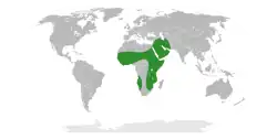 Areál rozšíření