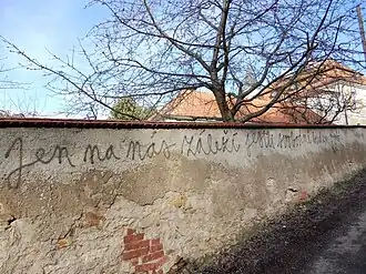 Ohradní zeď od západu