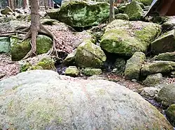 Balvany v přírodní rezervaci