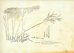 A. Farsari & Co., c. 1890, titulní stránka fotoalba A. Farsari & Co.