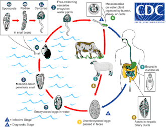 alternativní popis obrázku chybí