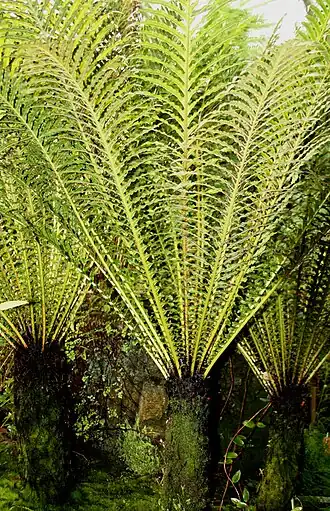 alternativní popis obrázku chybí