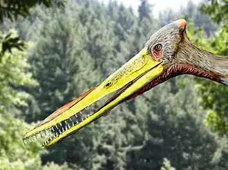 alternativní popis obrázku chybí