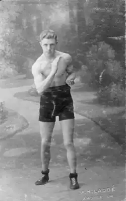 Nizozemský boxer