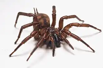 alternativní popis obrázku chybí