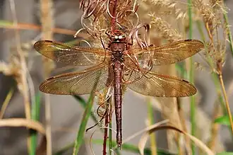 alternativní popis obrázku chybí