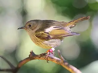 alternativní popis obrázku chybí