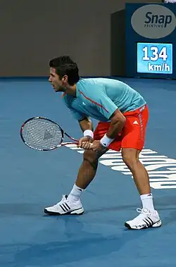 Fernando Verdasco