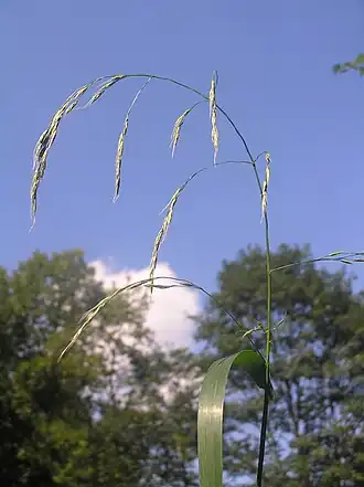 alternativní popis obrázku chybí