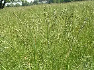 alternativní popis obrázku chybí