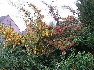 alternativní popis obrázku chybí