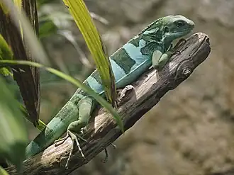 alternativní popis obrázku chybí