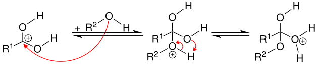 2. krok mechanismu esterifikace