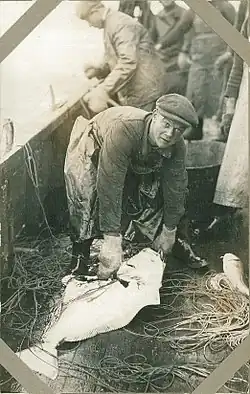 Rybáři na Faerských ostrovech