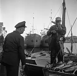 Rybáři v Kristiansundu, 1967