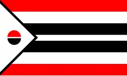 Vlajka arapažského národa