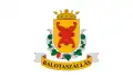Balotaszállás – vlajka