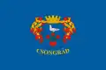 Csongrád – vlajka