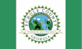 Echols County – vlajka