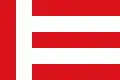 Eindhoven – vlajka