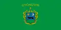 Gyöngyös – vlajka