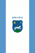 Hőgyész – vlajka