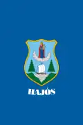 Hajós – vlajka