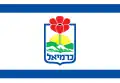 Karmiel – vlajka
