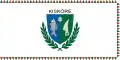 Kisköre – vlajka